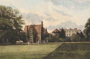 Barraud Radley Cricket Low Rescrop