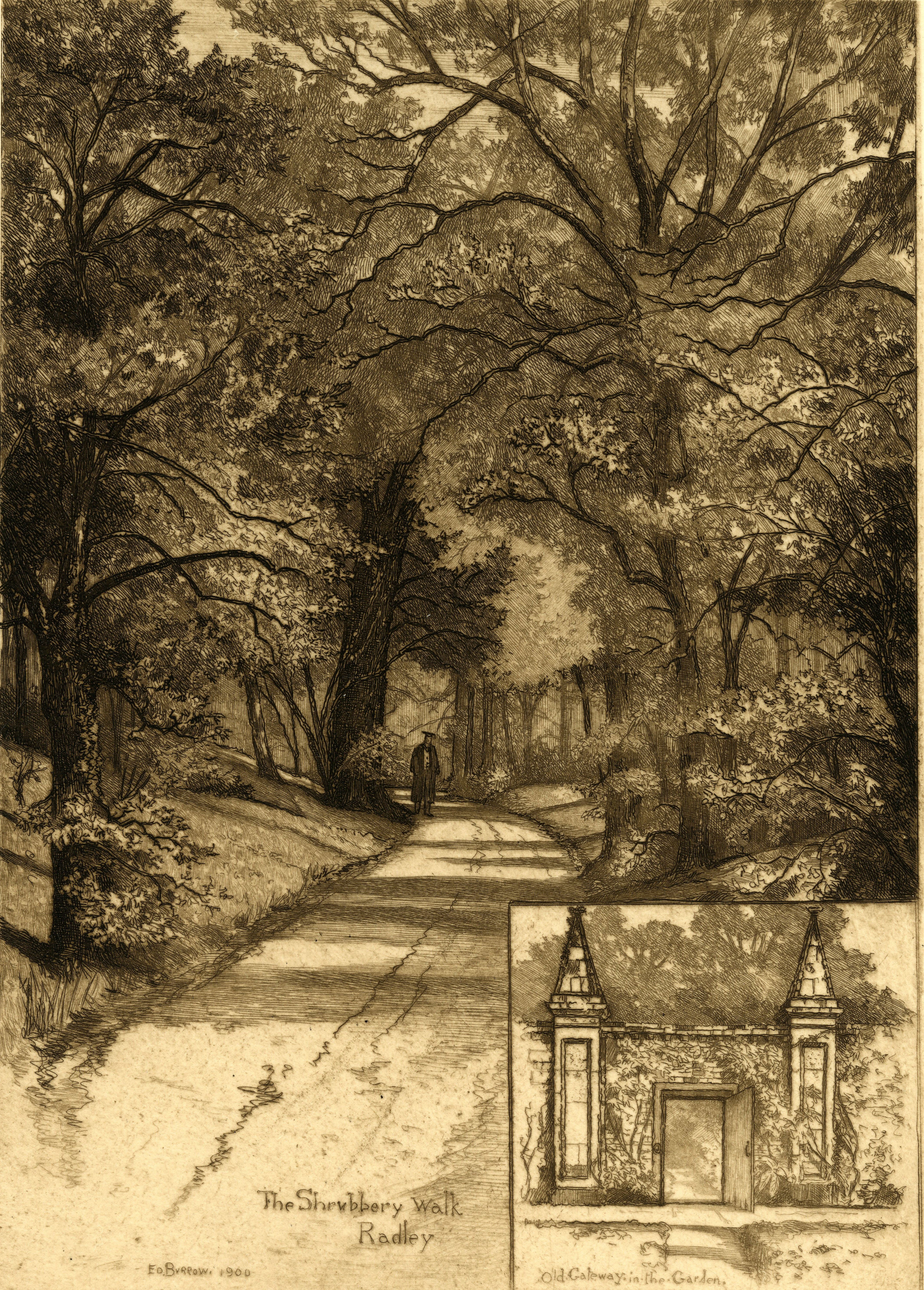 banner-5-burrowsshrubberygate013