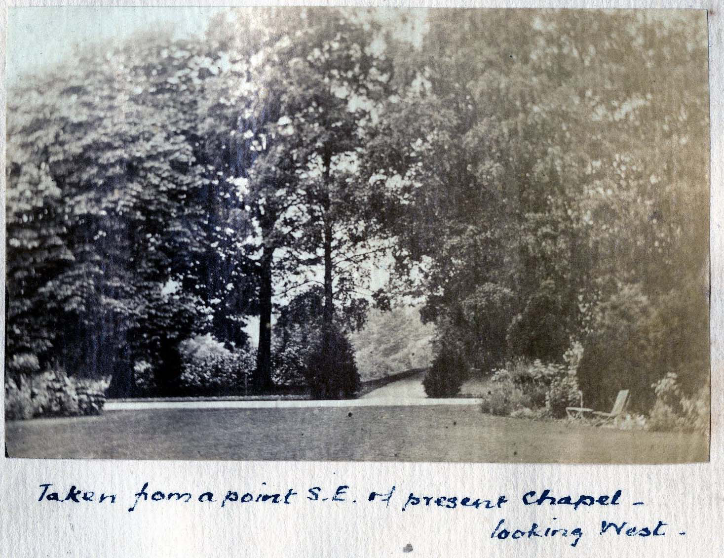 banner-5-woodp9gardens