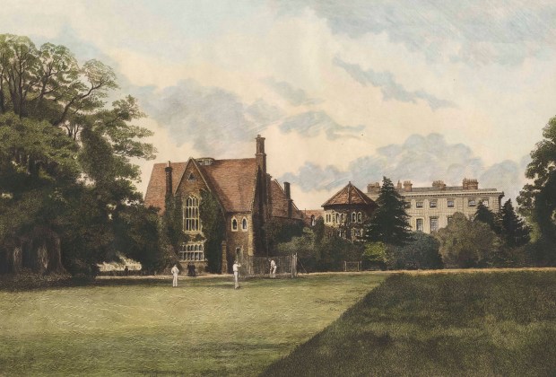 banner-7-barraud-radley-cricket